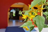 A garden outside Casa di Dandolo
