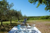 Naturlandskabet i nærheden af feriegården