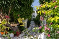 Vonkajšia záhrada v ubytovaní Ricos Two Bedroom House - Naoussa Paros