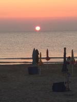 Táj Show holiday homes közelében