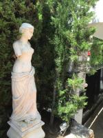 Zahrada ubytování Villa Pinsapo