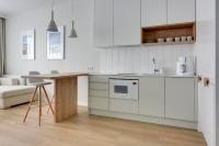 Kuchyňa alebo kuchynka v ubytovaní Comfort Apartments Granaria