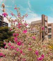 a bush with pink flowers in front of buildings at Yage Hotspring House in Jiaoxi