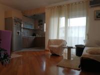 Kuchyň nebo kuchyňský kout v ubytování Apartment Visoka