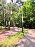 Půdorys ubytování Apartament Drewno i Morze