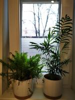 Plán poschodí v ubytovaní Angela Apartment