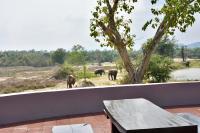 a group of elephants standing in a field at I love phants Lodge in Ban Huai Thawai