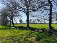 Un paisaje natural cerca de la casa de vacaciones