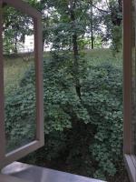 Zahrada ubytování Vallikraavi apartment