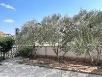 Zahrada ubytování Apartman Pajo
