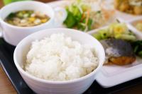 ホテルの敷地内または近くでの食事または食べ物
