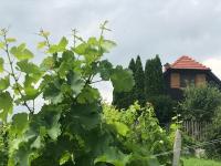 A garden outside Kranach 5 - Wohnen beim Wein