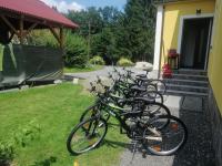 Jazda na bicykli v okolí ubytovania HAUS SONBERG mit Garten, Pool, Fasssauna, semi detached house with garden
