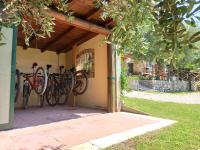 Jazda na bicykli v okolí ubytovania Le Zampolle B & B