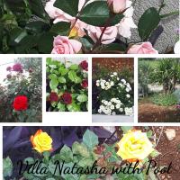 Vonkajšia záhrada v ubytovaní Villa Natasha