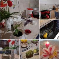 a collage of photos of a kitchen with flowers on a counter at Le pti colibri d Olivier in Salazie