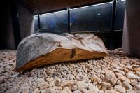 ONSEN RYOKAN 由縁 札幌の見取り図または間取り図