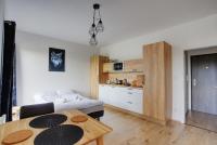 Kuchyň nebo kuchyňský kout v ubytování Mountain Apartments Klínovec Hexagon