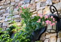 a stone wall with a planter with pink flowers at Rothenburg Lodge in Wujie