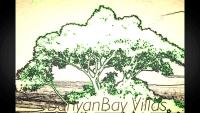a drawing of a tree with the words nav bay villages at Banyan Bay Villas in Ko Jum