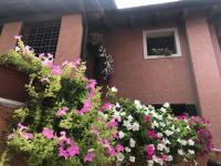 Vonkajšia záhrada v ubytovaní Casa del Balcone Fiorito