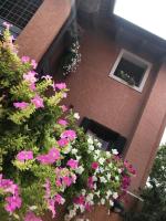 Vonkajšia záhrada v ubytovaní Casa del Balcone Fiorito