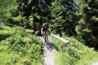 Jazda na bicykli v okolí ubytovania BELLE KITZ PURE im Zentrum by Belle Stay