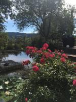 Príroda v okolí of the bed and breakfast