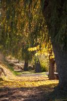 A garden outside Casa Rural El Morral