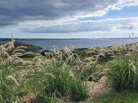 a field of tall grass with the ocean in the background at Reflets de la Mer... in Plomodiern