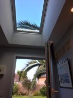 a skylight in the ceiling of a room with a palm tree at Olive et Pomme in Bretteville