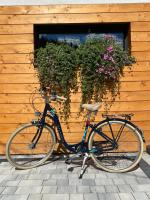 Jazda na bicykli v okolí ubytovania Highlander House