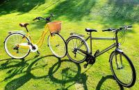 Jazda na bicykli v okolí ubytovania Monarchia Apartman Sunny