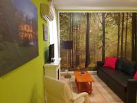 Telewizja i/lub zestaw kina domowego w obiekcie Apartamentos Dana Madrid