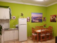 Kuchnia lub aneks kuchenny w obiekcie Apartamentos Dana Madrid