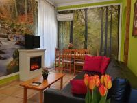 Telewizja i/lub zestaw kina domowego w obiekcie Apartamentos Dana Madrid