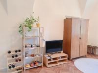 TV a/nebo společenská místnost v ubytování Zámek Ruda nad Moravou