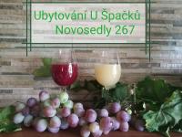 Nápoje v ubytování Ubytování U Špačků Pálava