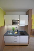 Kuchyň nebo kuchyňský kout v ubytování Hotel Jirinka