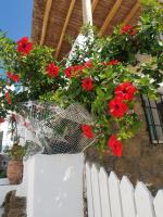 Vonkajšia záhrada v ubytovaní Hibiscus Rosa Mykonos