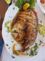 Fotografie z fotogalerie ubytování Hotel Nautilos v destinaci Sozopoli