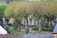 A garden outside Hostal Burbia