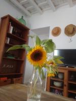 TV a/nebo společenská místnost v ubytování La Puerta Azul