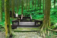 Alishan Shermuh Tourist Hotelの見取り図または間取り図
