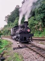 a steam engine train is coming down the tracks at Alishan Shermuh Tourist Hotel in Zhongzheng