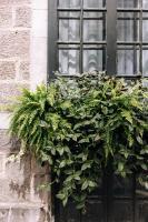 Maison Sainte-Thérèse By Maisons & coにある庭