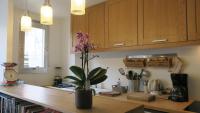 a kitchen with a counter with a potted plant on it at Aligre in Paris
