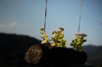 Plán poschodí v ubytovaní Agriturismo Riva dei Coz