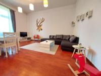Televízia a/alebo spoločenská miestnosť v ubytovaní Deák Apartman