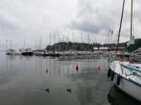 Príroda v okolí botela